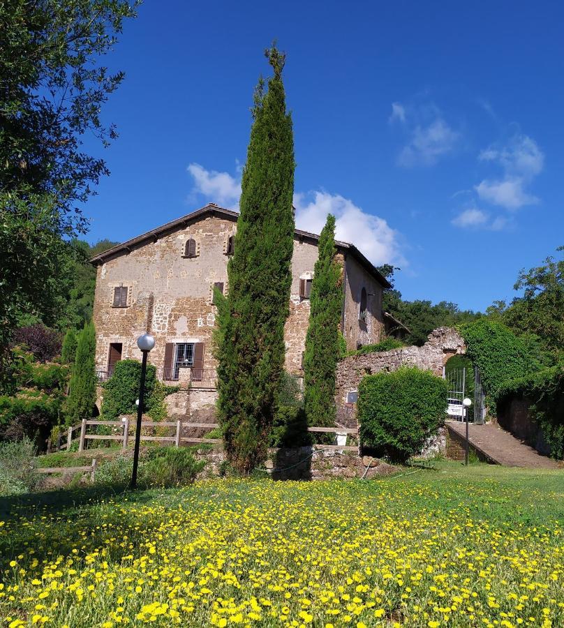 B&B Il Giardino Del Borgo Veiano Exteriör bild